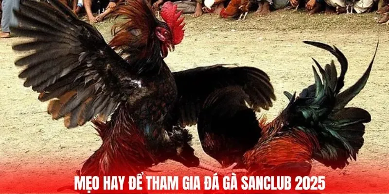 Mẹo hay để tham gia đá gà SANCLUB 2025