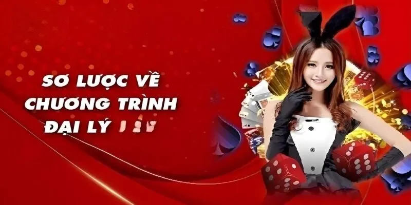 Chương trình đại lý cùng thông tin cơ bản